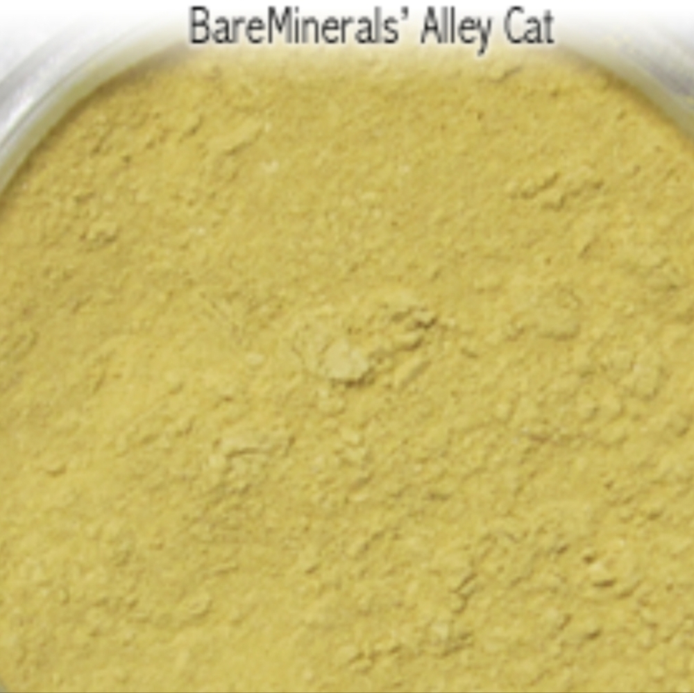 🧚‍♀️ALLEY CAT BareMinerals DISCONTINUED MINI Eyecolor NWT